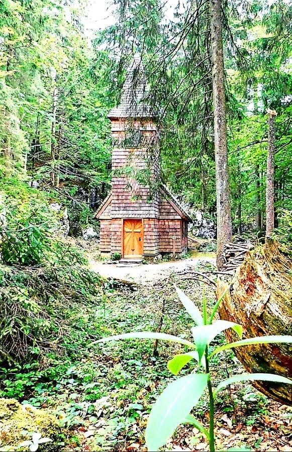 Tauglerei Appartement Bernstein In Den Zauberbergen Sankt Koloman Luaran gambar