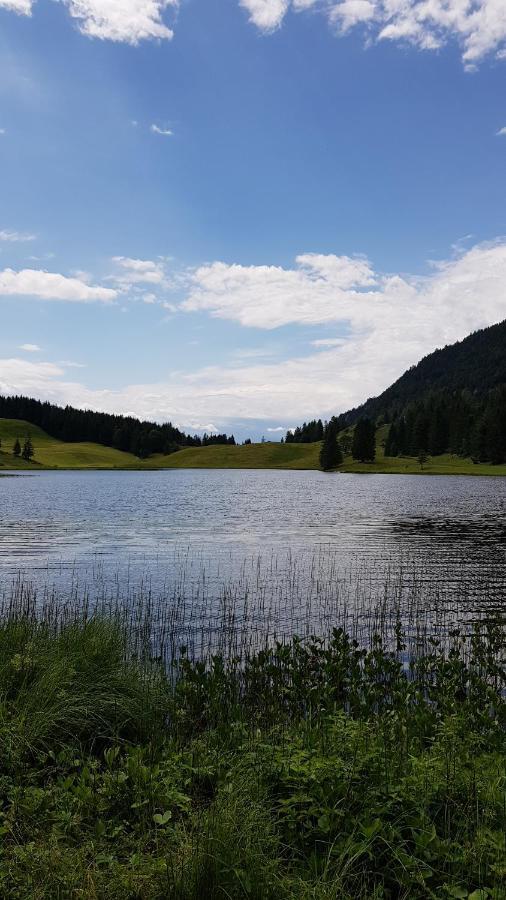 Tauglerei Appartement Bernstein In Den Zauberbergen Sankt Koloman Luaran gambar